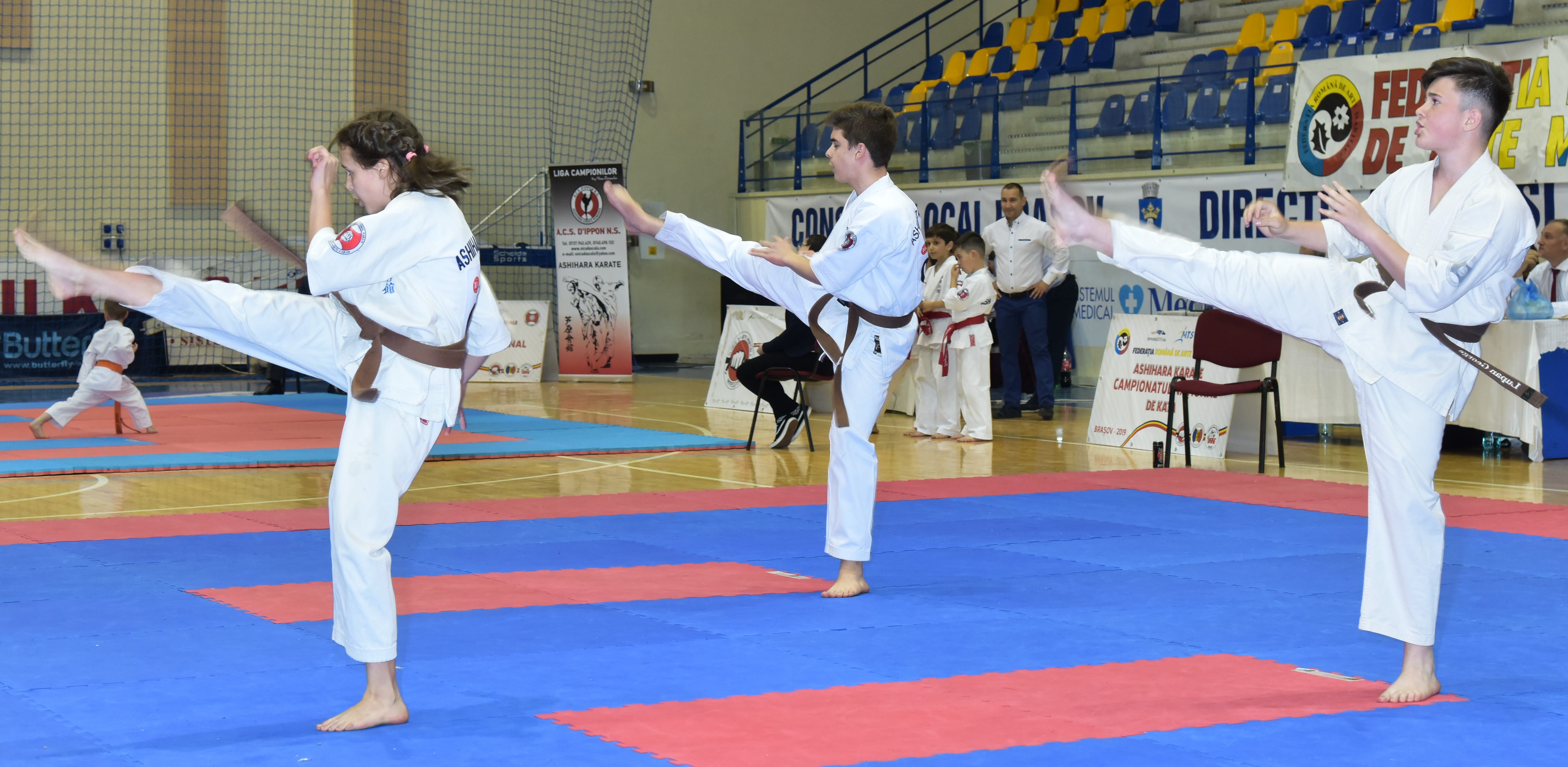 kata-1