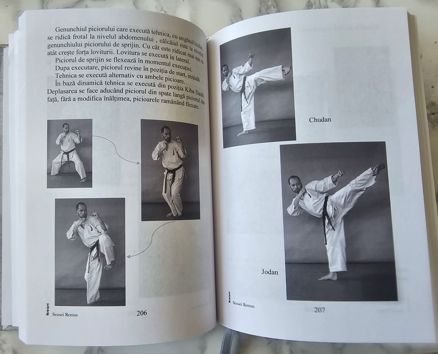 Ashihara Karate Enciclopedia